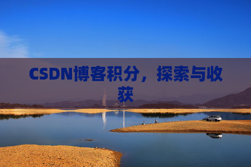 CSDN博客积分，探索与收获